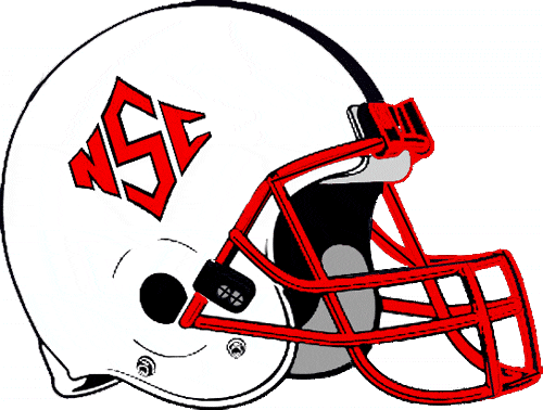 North Carolina State Wolfpack 1986-1998 Helmet Logo diy DTF decal sticker